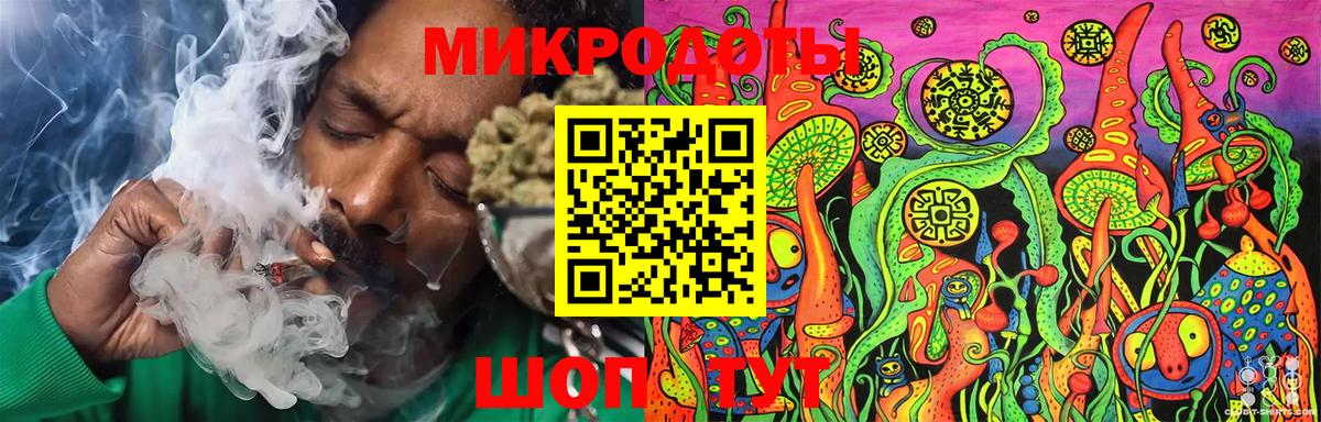 Псилоцибиновые грибы Cubensis Минеральные Воды